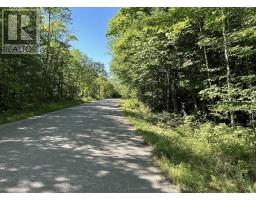 N/a Monument Road, Spring Bay, ON P0P2N0 Photo 7