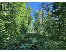 N/a Monument Road, Spring Bay, ON P0P2N0 Photo 8