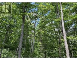 N/a Monument Road, Spring Bay, ON P0P2N0 Photo 9