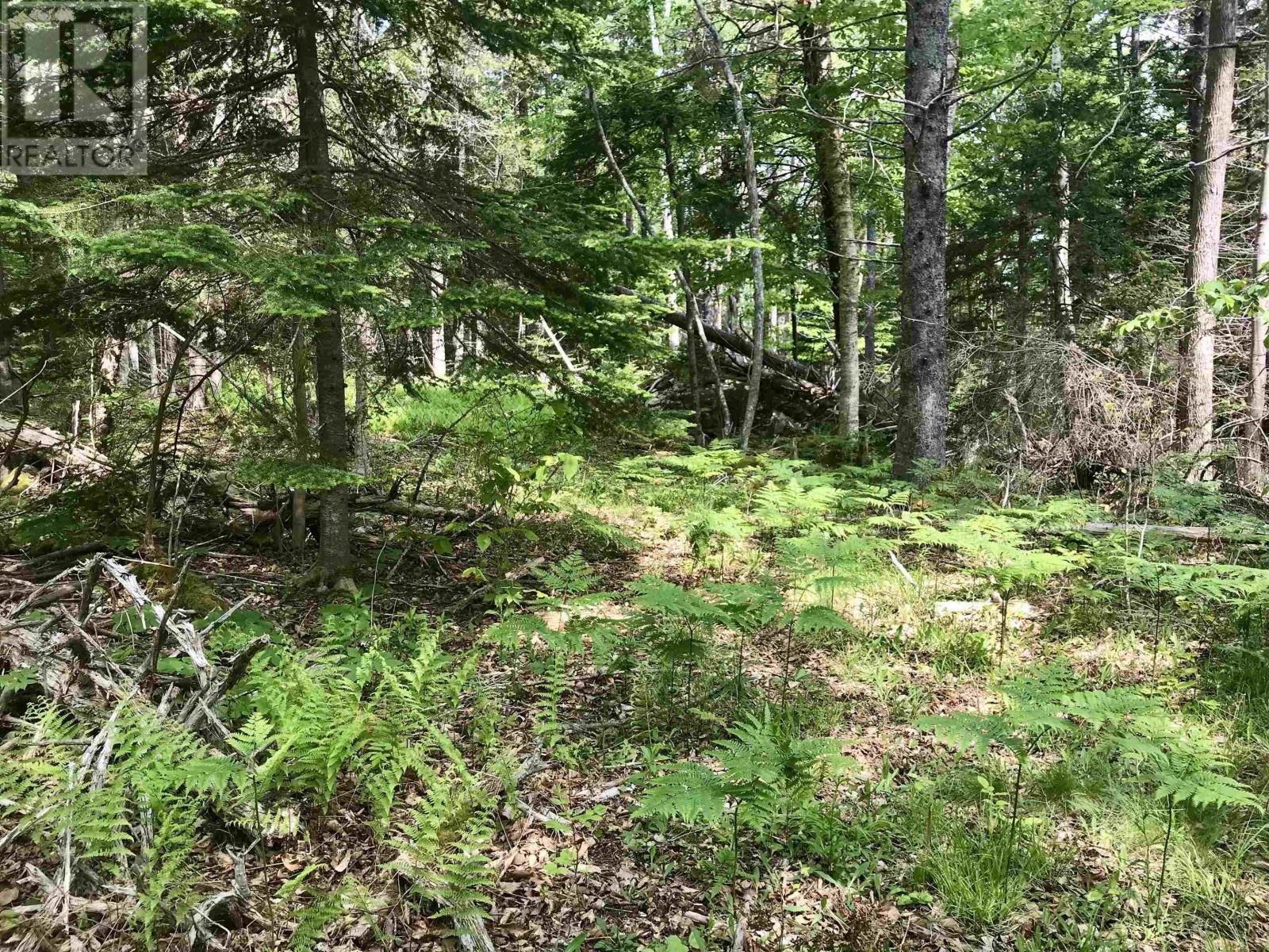 Property 13 of 20 of 2 Acres Weymouth Falls Road