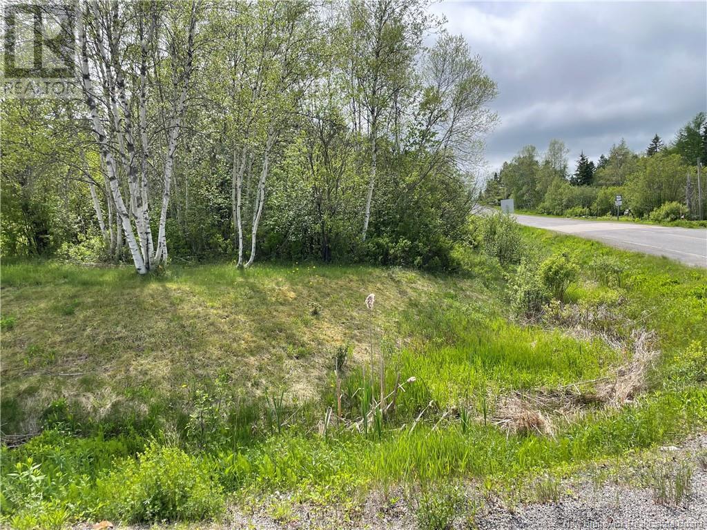 Photo 8 of Route 865, Cassidy Lake NB