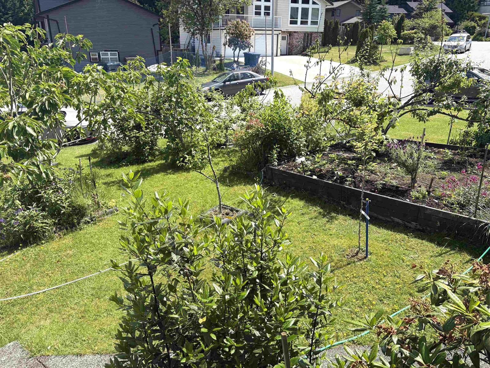 9983 117 STREET, Surrey