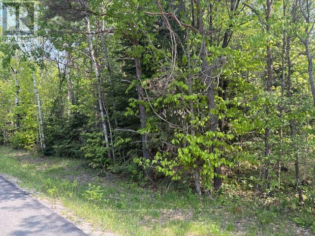 Photo 5 of 147 So Ho Mish Road, Perry ON