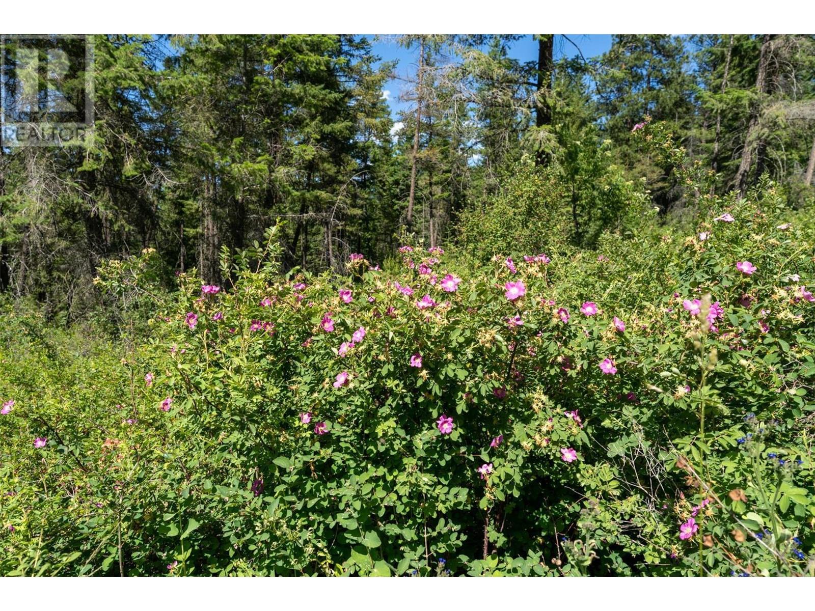  5401-5403 McCulloch Road, Kelowna