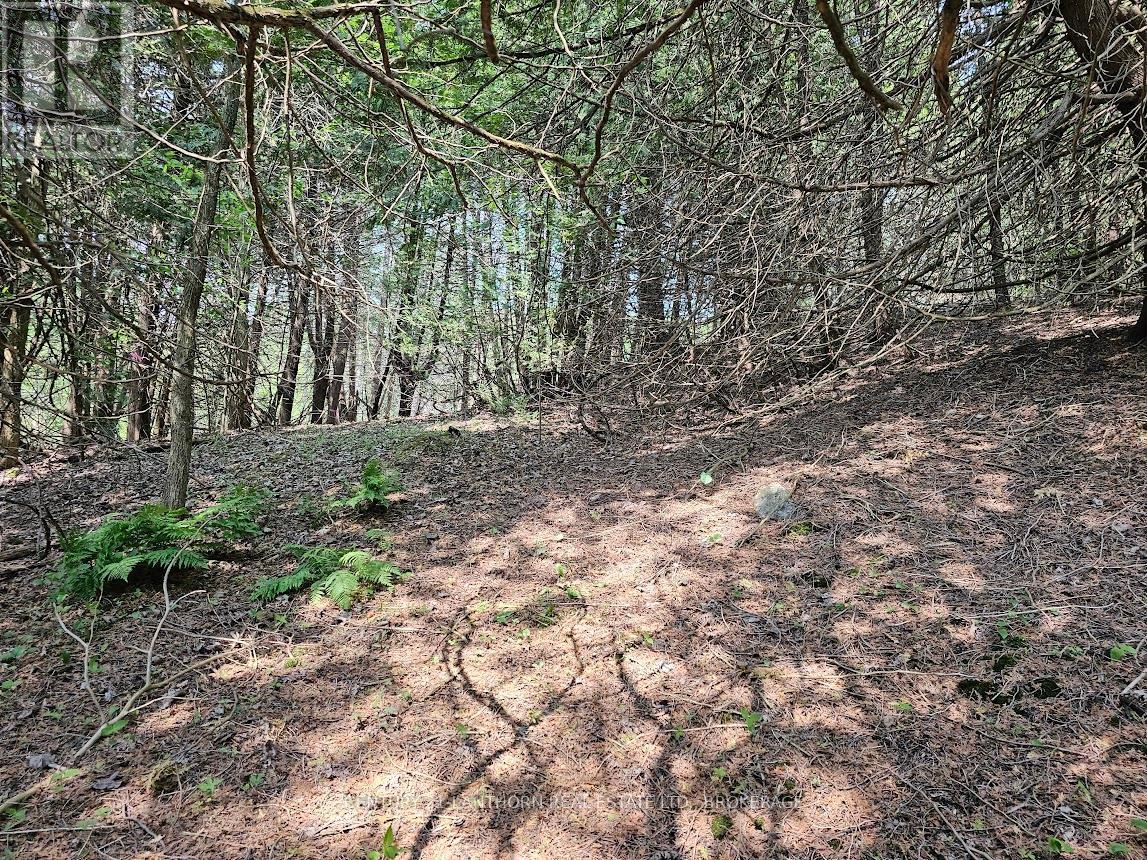 Photo 8 of 0000 Cedarstone Road, Stone Mills ON