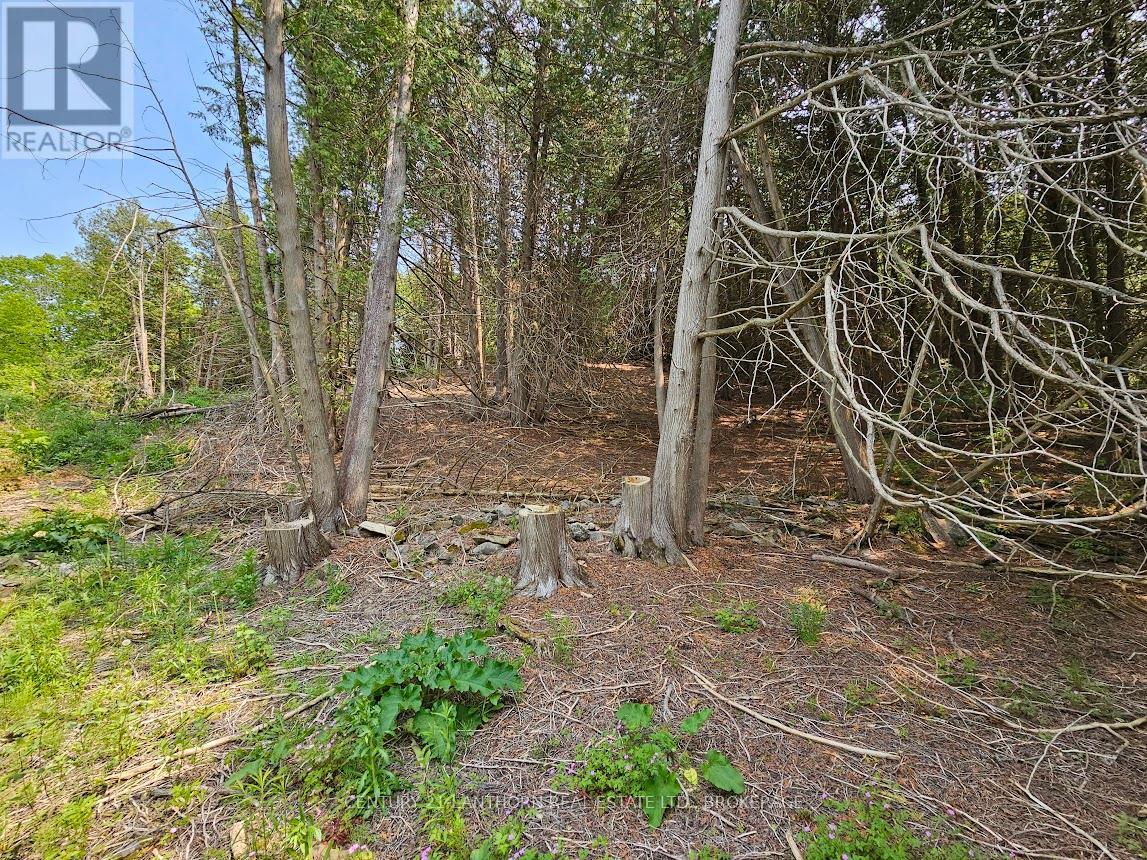 Photo 10 of 0000 Cedarstone Road, Stone Mills ON