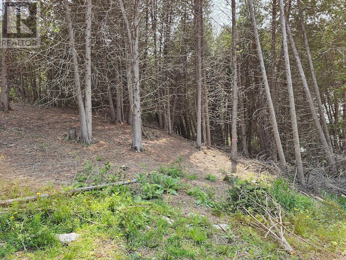 Photo 5 of 0000 Cedarstone Road, Stone Mills ON