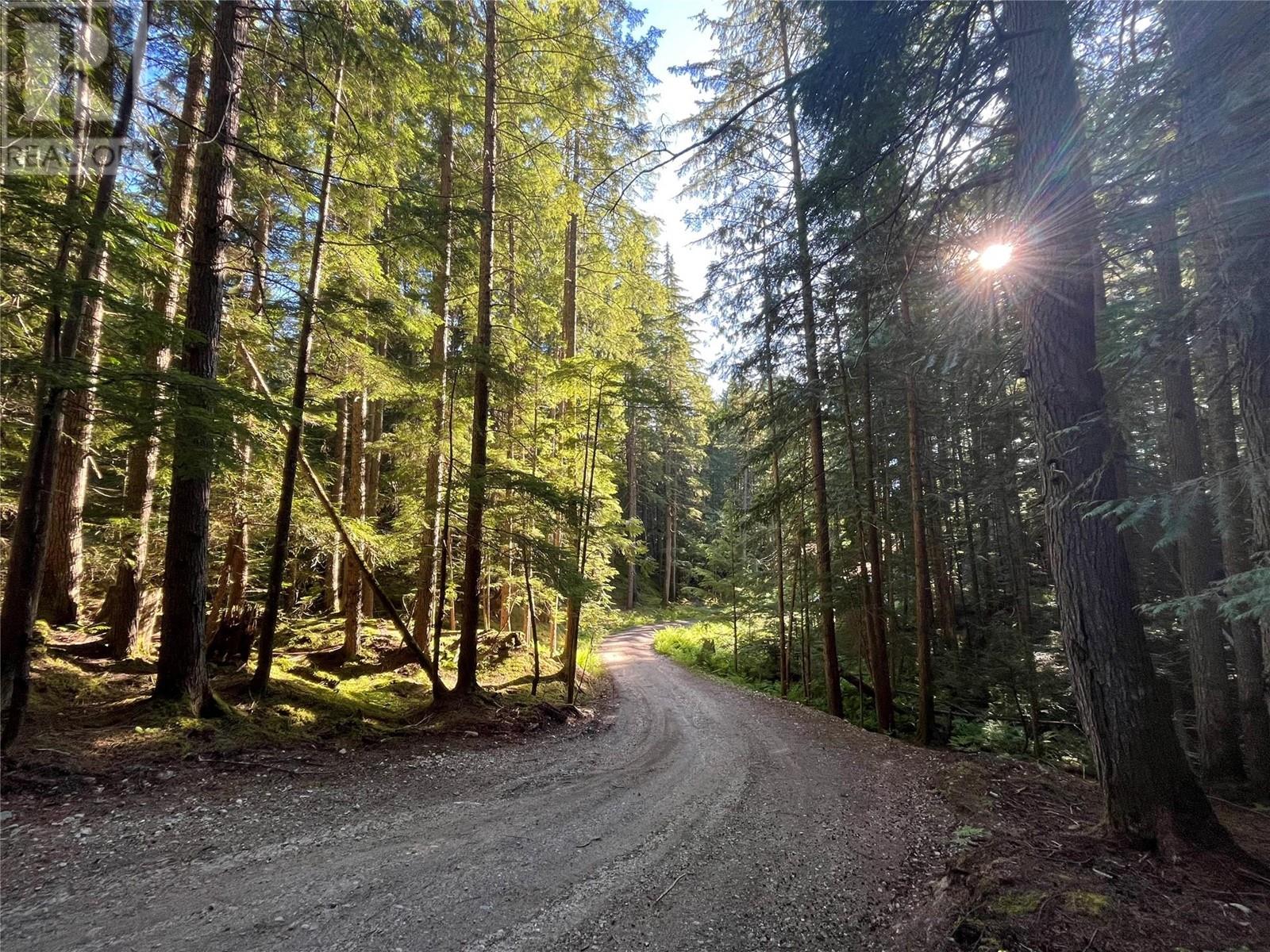 Photo 14 of 769 Beech Road, Nakusp BC