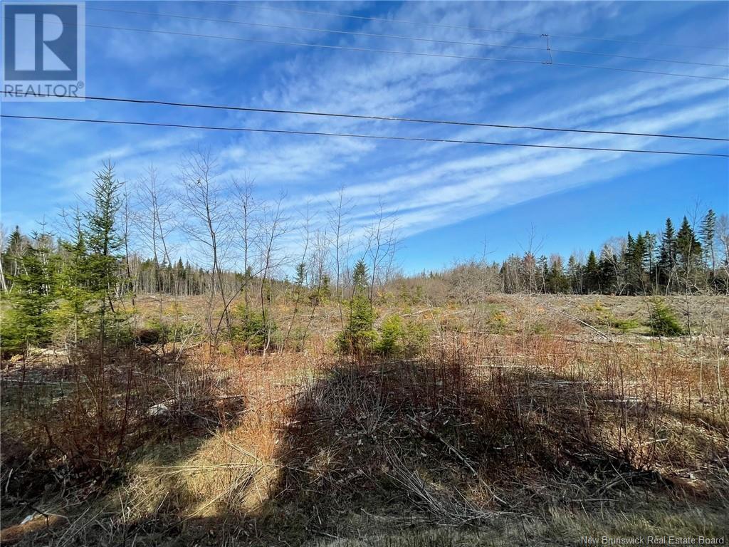 Photo 5 of Semiwagan Road, Barnaby NB