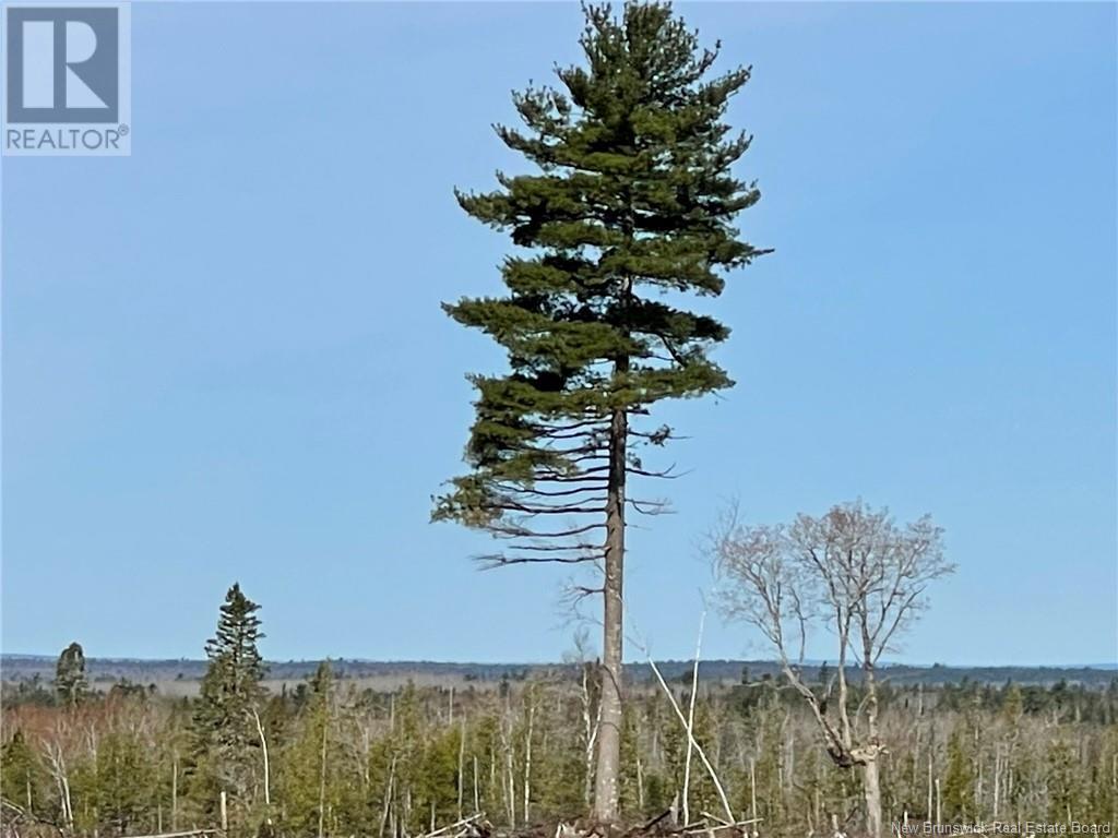 Photo 8 of Semiwagan Road, Barnaby NB