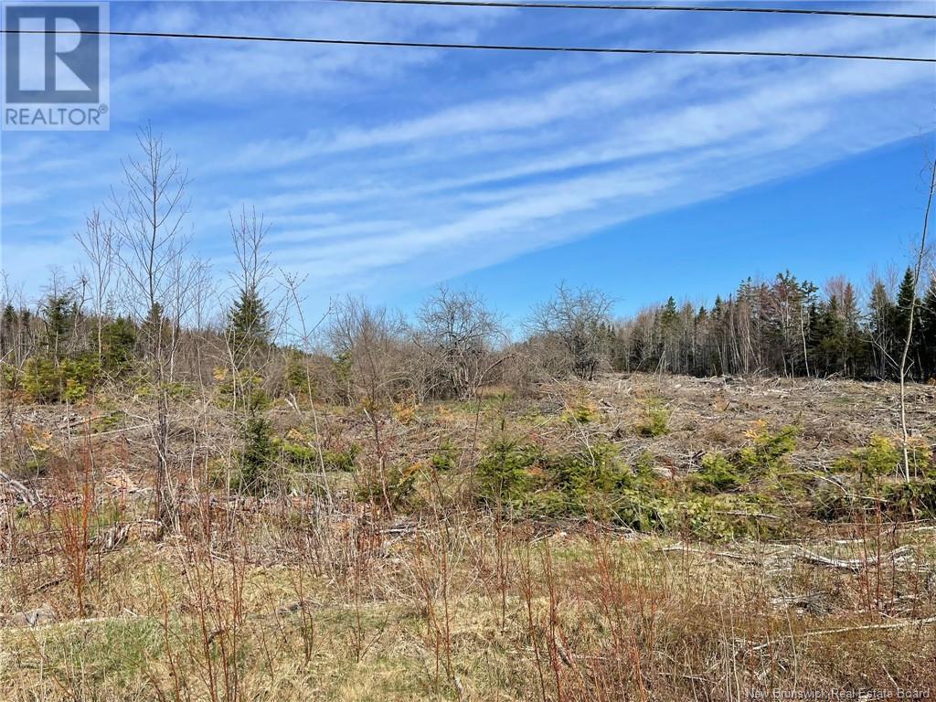 Photo 20 of Semiwagan Road, Barnaby NB