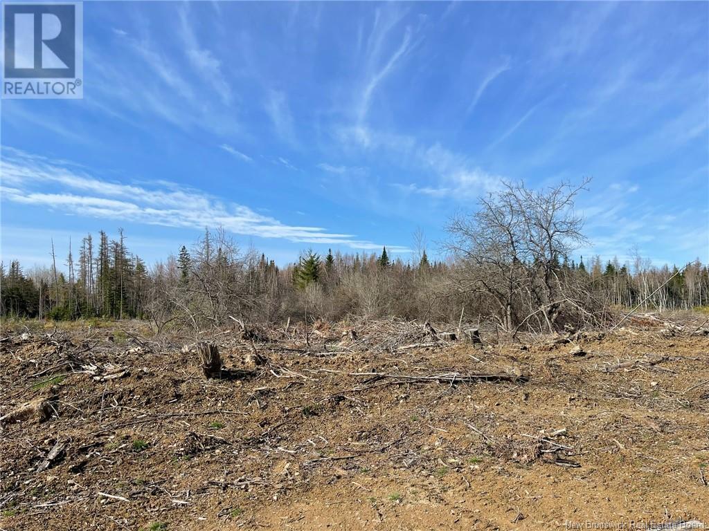 Photo 11 of Semiwagan Road, Barnaby NB
