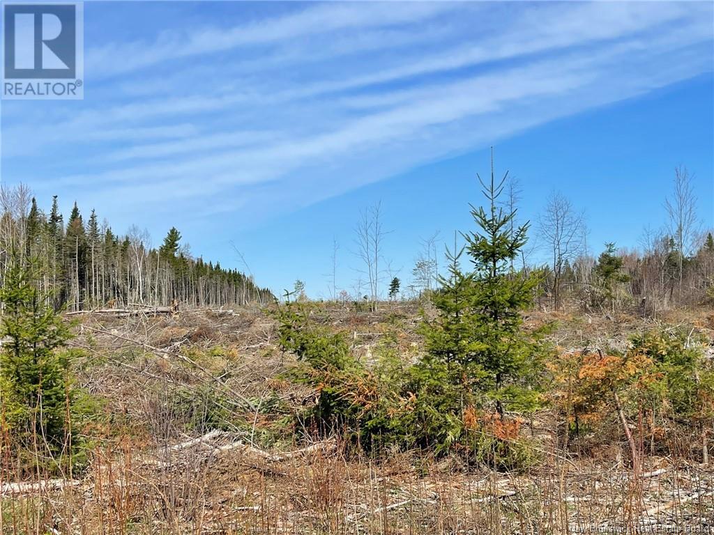 Photo 1 of Semiwagan Road, Barnaby NB
