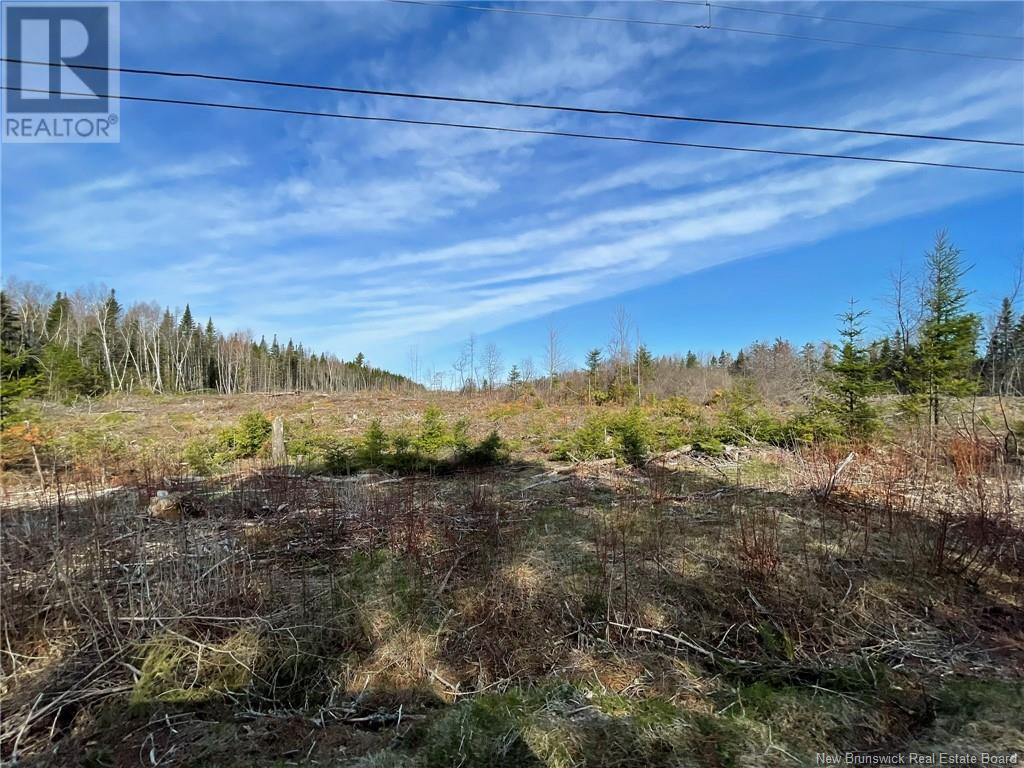 Photo 10 of Semiwagan Road, Barnaby NB