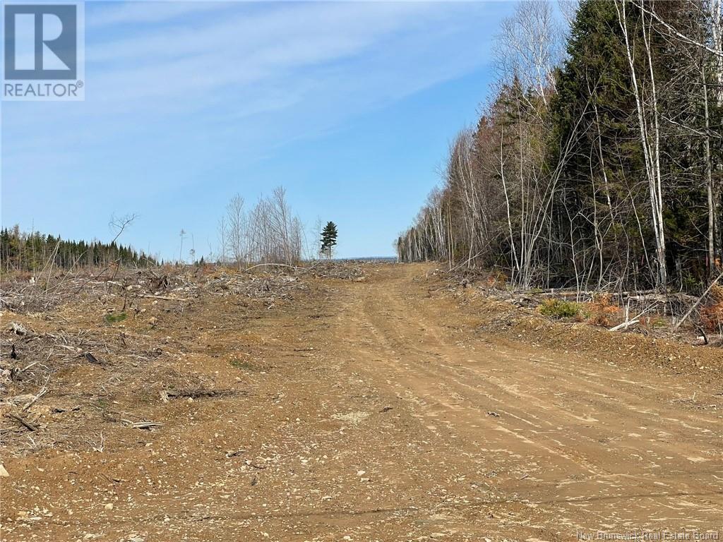 Photo 7 of Semiwagan Road, Barnaby NB