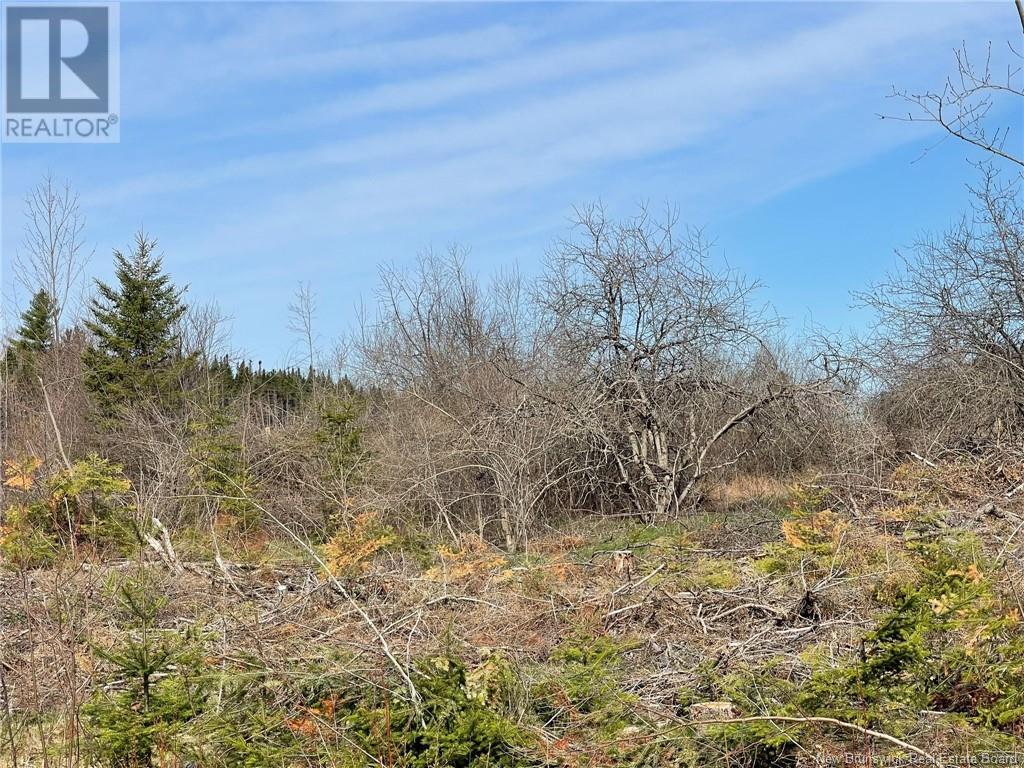 Photo 15 of Semiwagan Road, Barnaby NB