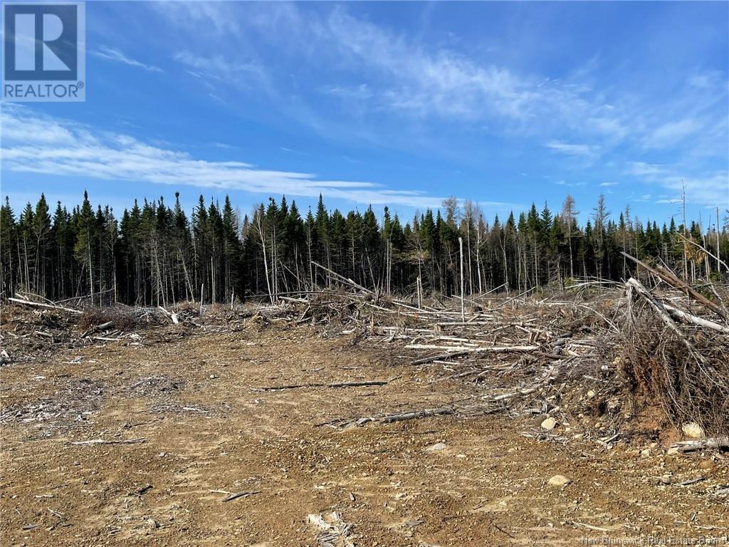 Photo 17 of Semiwagan Road, Barnaby NB