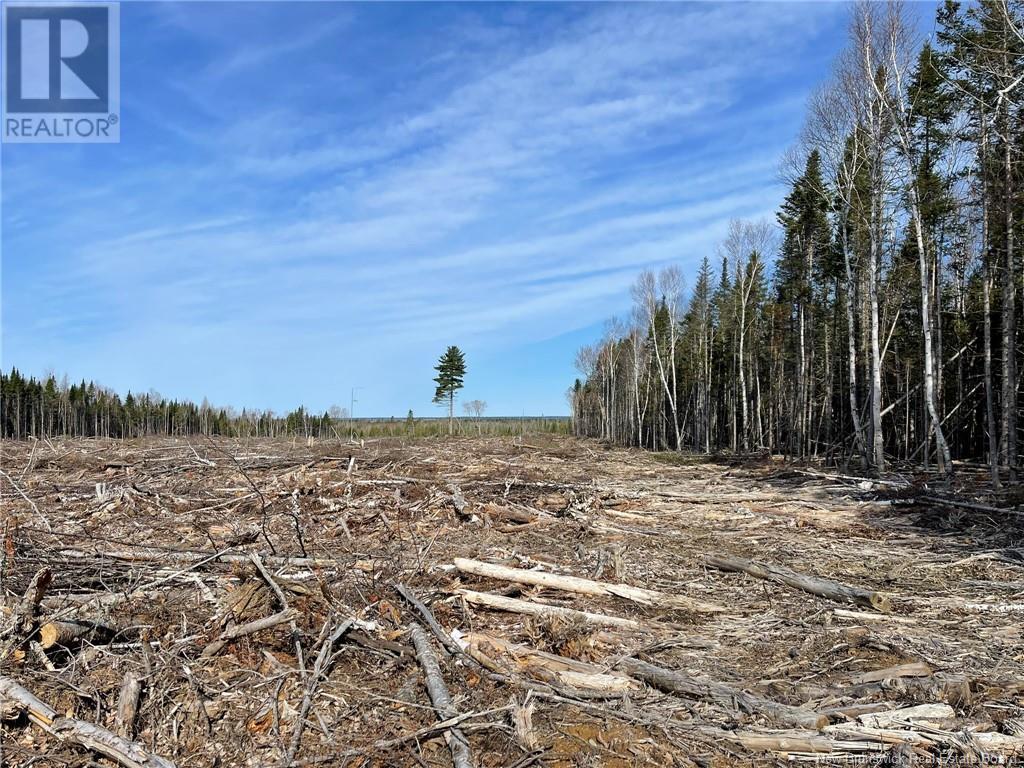 Photo 6 of Semiwagan Road, Barnaby NB