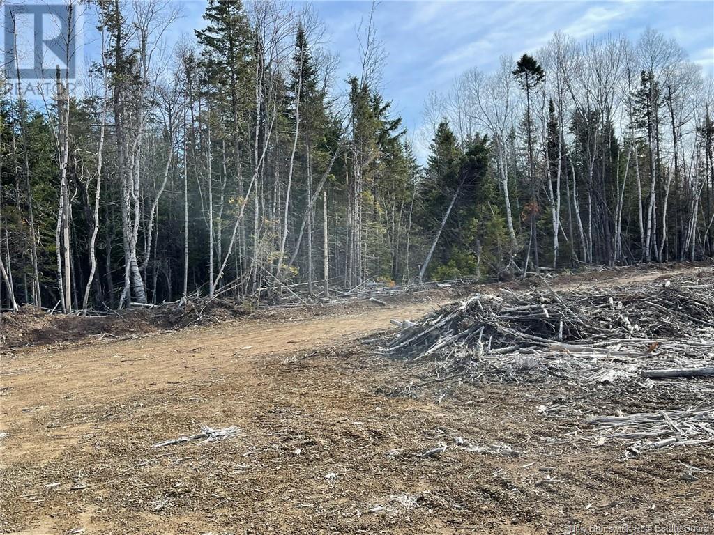 Photo 18 of Semiwagan Road, Barnaby NB