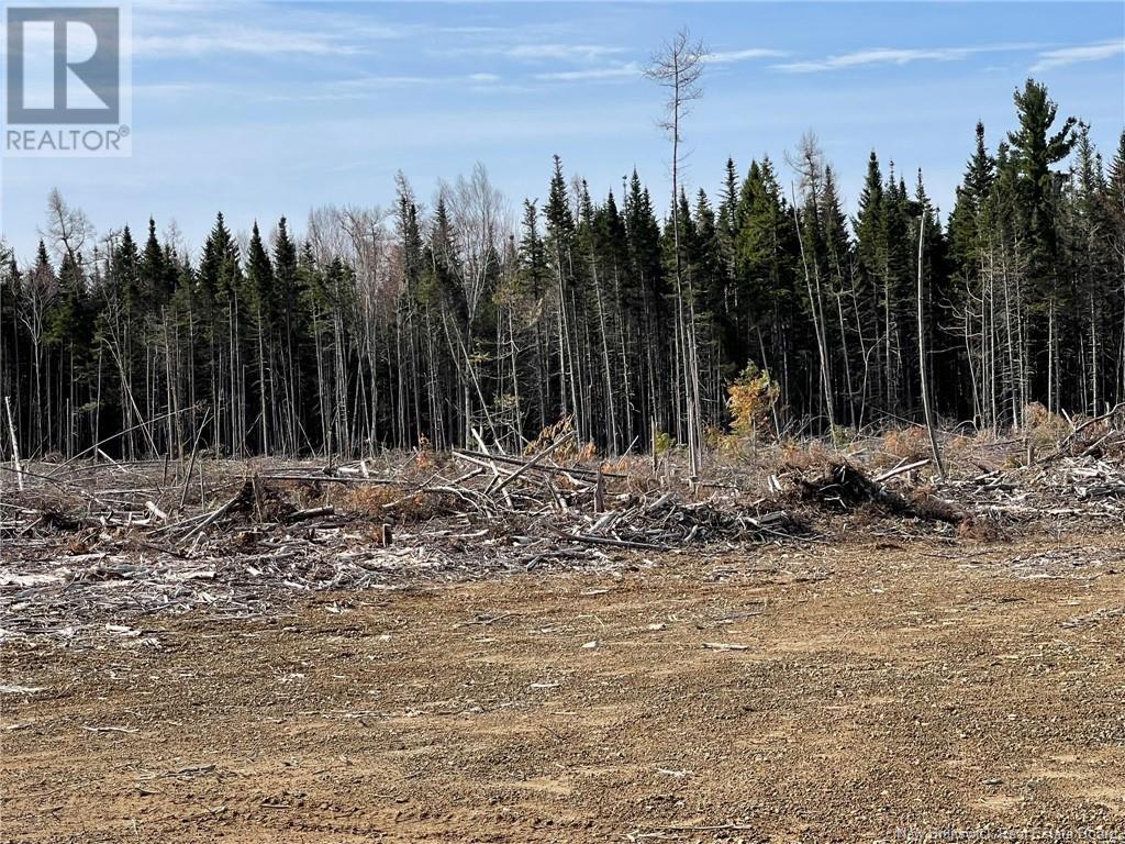 Photo 12 of Semiwagan Road, Barnaby NB