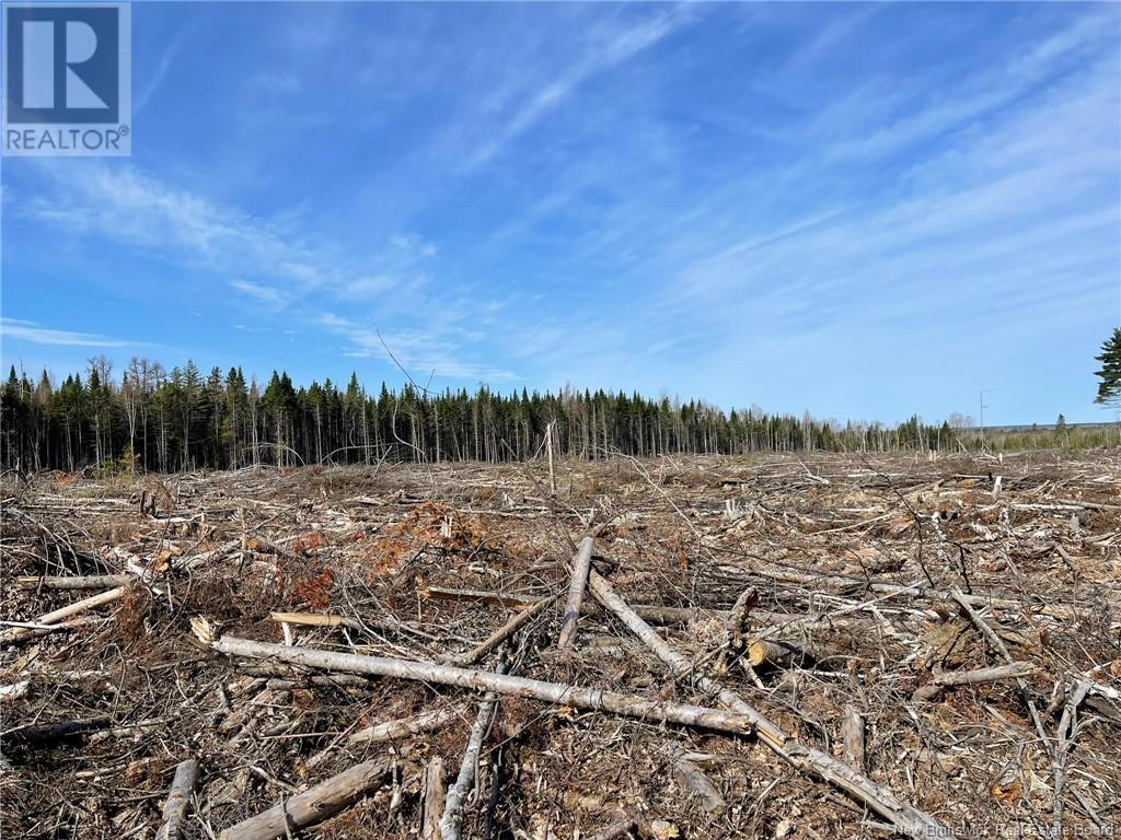 Photo 9 of Semiwagan Road, Barnaby NB