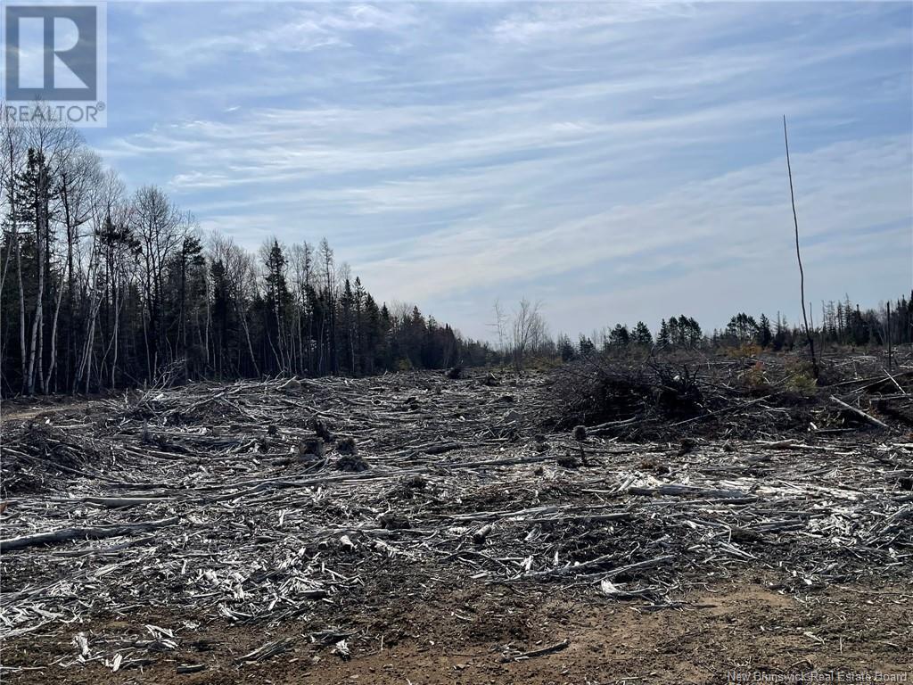 Photo 16 of Semiwagan Road, Barnaby NB