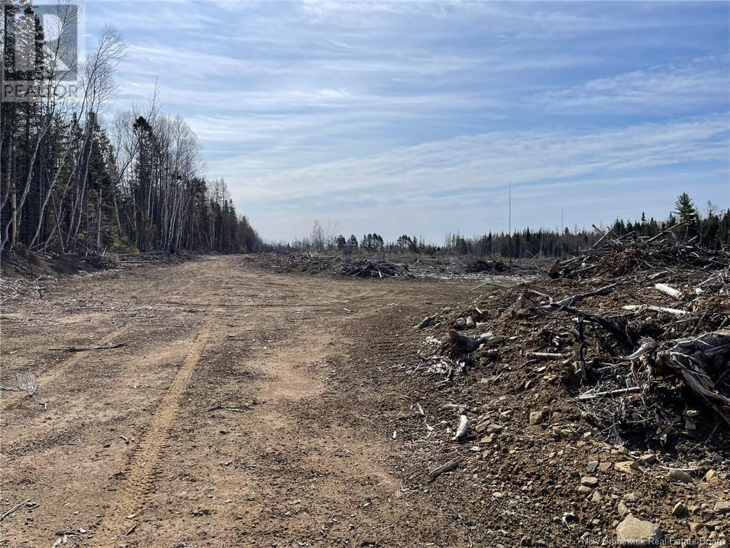Photo 19 of Semiwagan Road, Barnaby NB