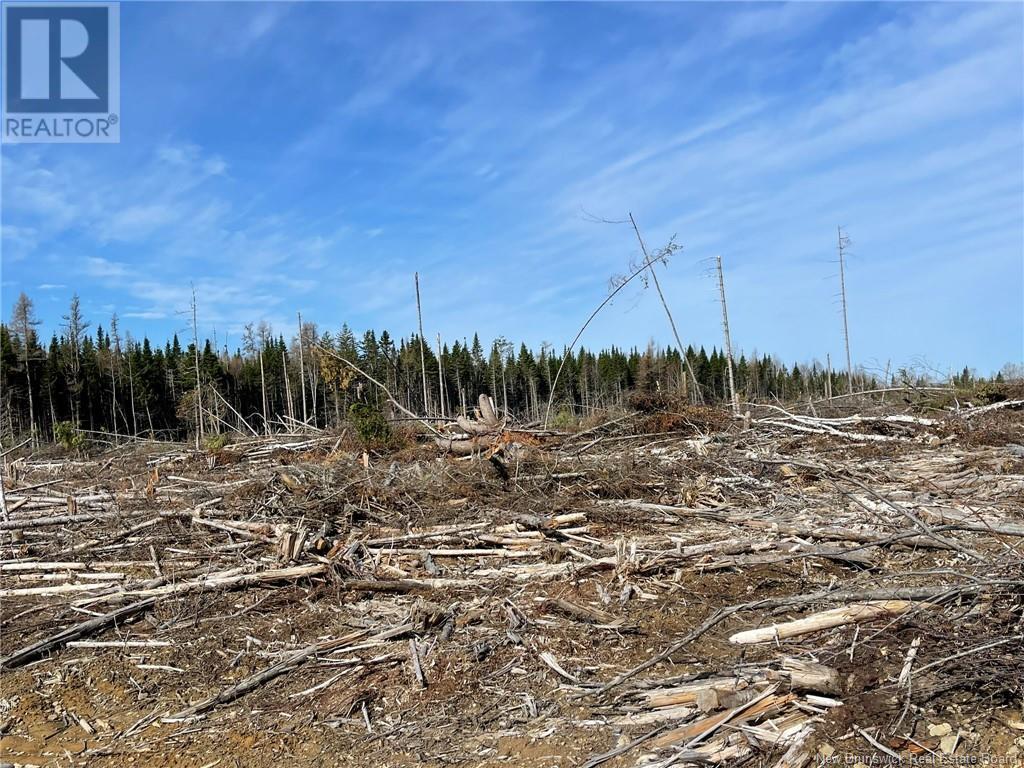 Photo 14 of Semiwagan Road, Barnaby NB