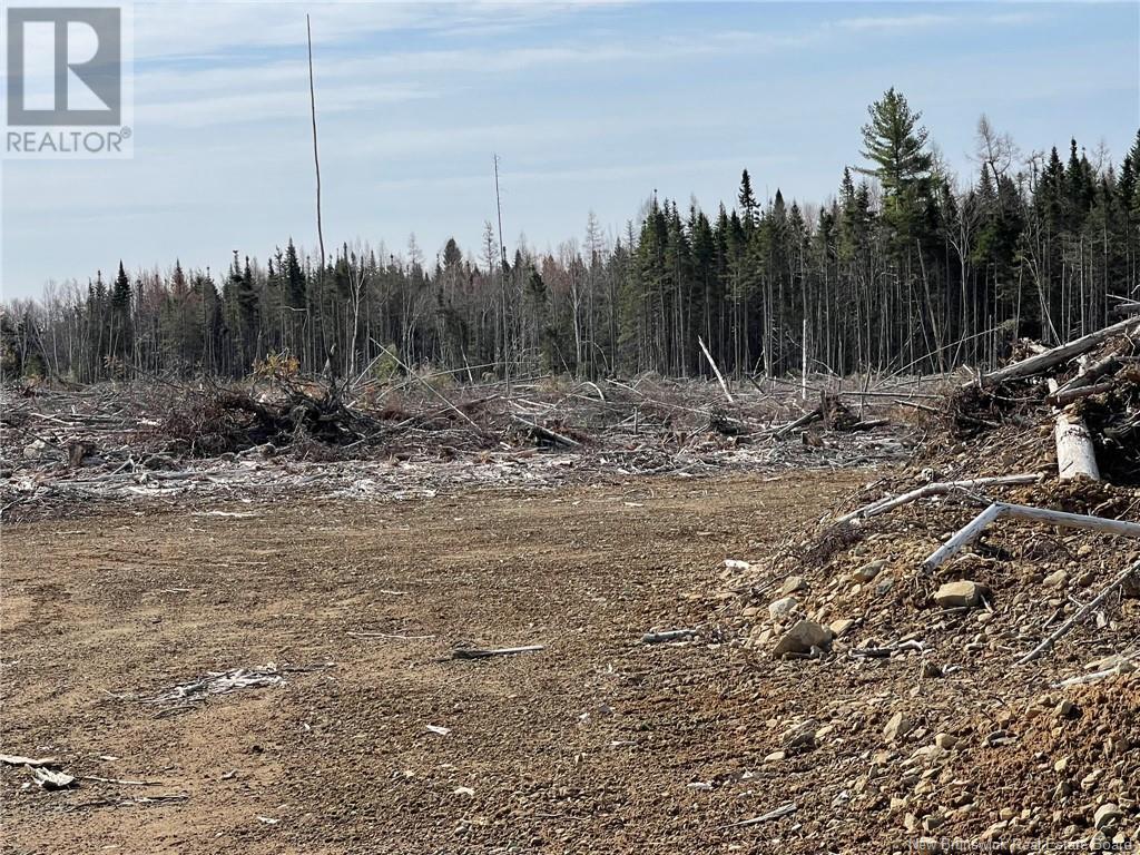 Photo 13 of Semiwagan Road, Barnaby NB
