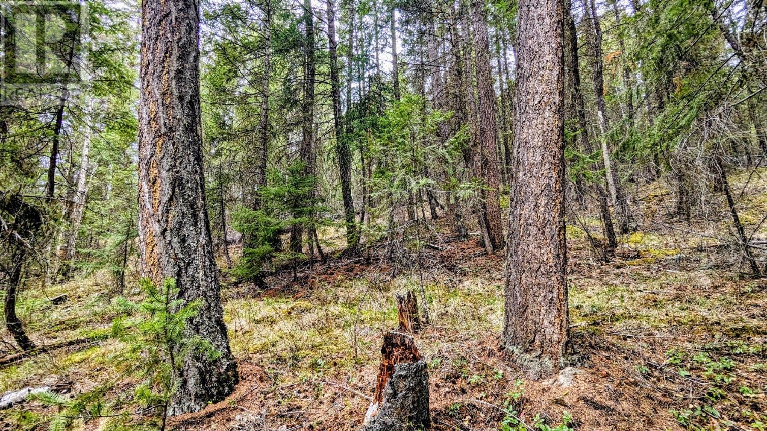 LOT 5 CANIM HENDRIX LAKE ROAD, Canim Lake