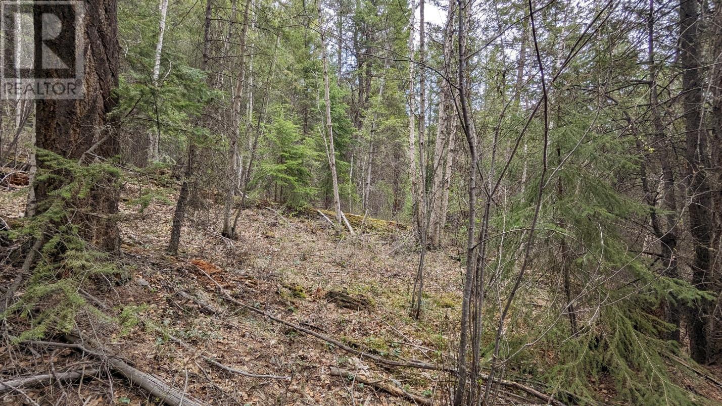 LOT 5 CANIM HENDRIX LAKE ROAD, Canim Lake