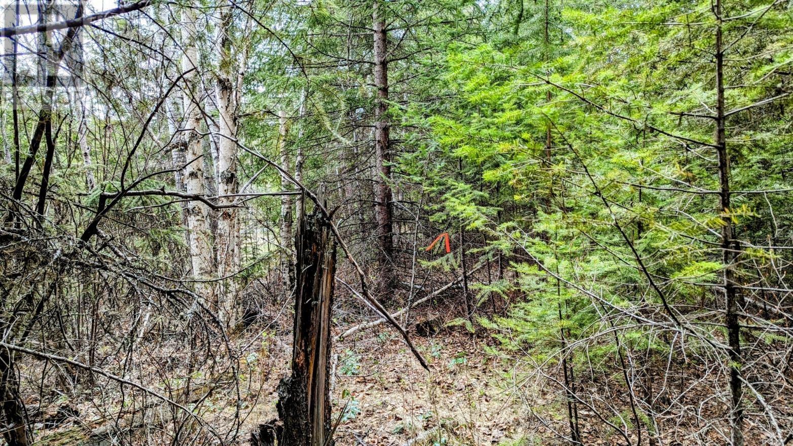 LOT 5 CANIM HENDRIX LAKE ROAD, Canim Lake