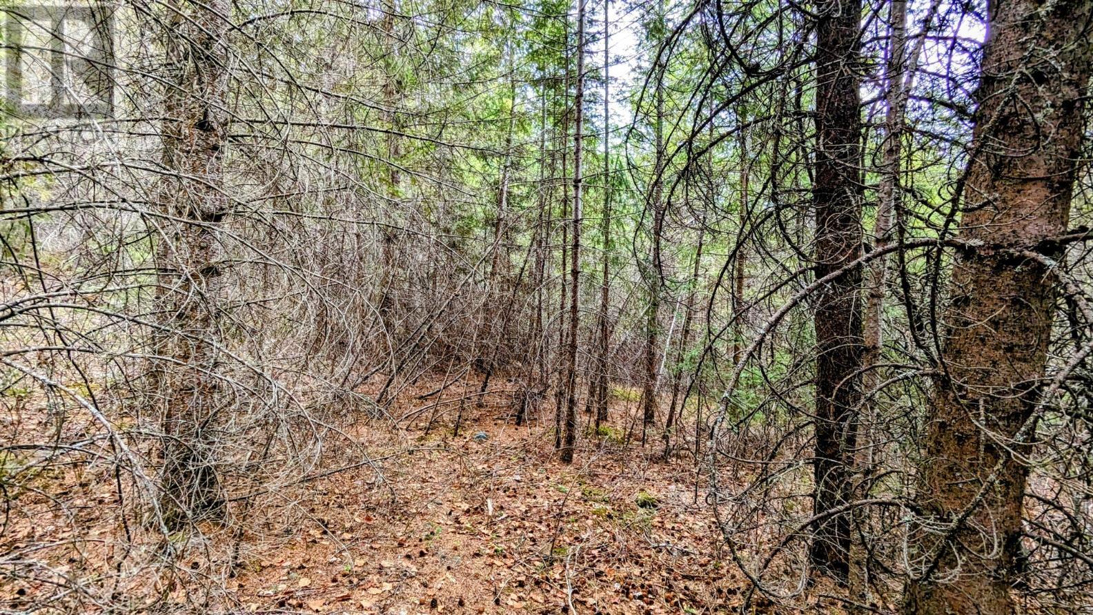 LOT 5 CANIM HENDRIX LAKE ROAD, Canim Lake