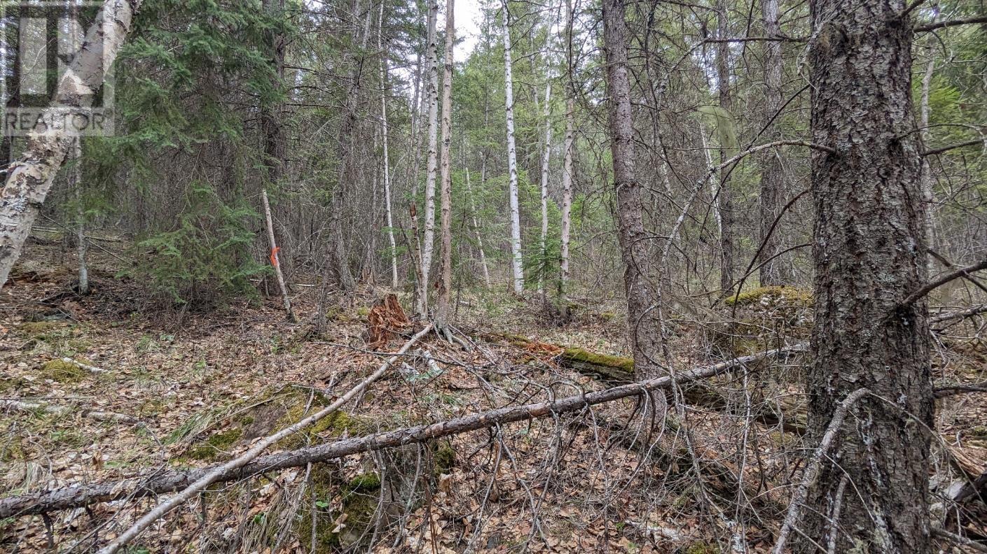 LOT 5 CANIM HENDRIX LAKE ROAD, Canim Lake