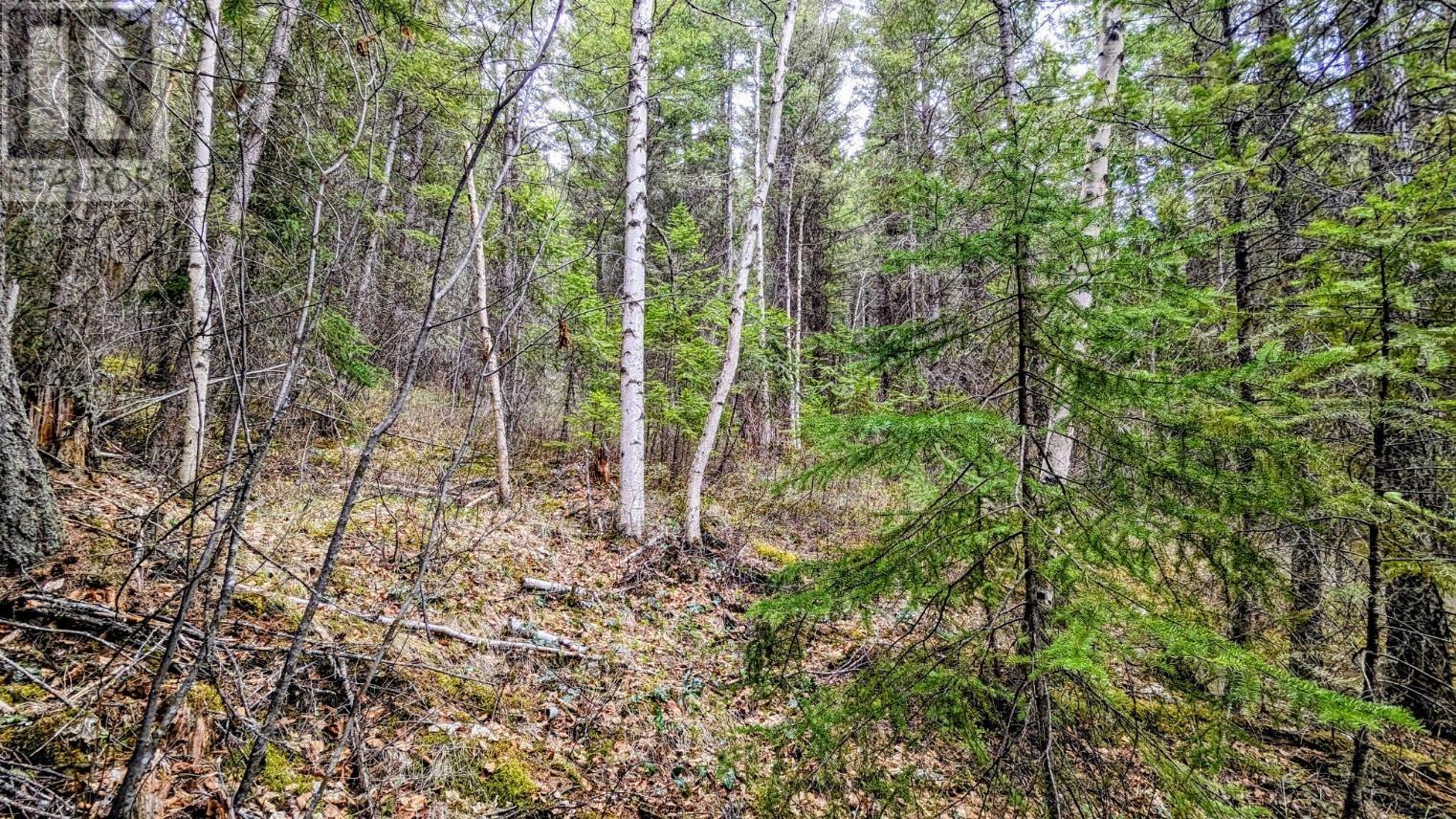 LOT 5 CANIM HENDRIX LAKE ROAD, Canim Lake