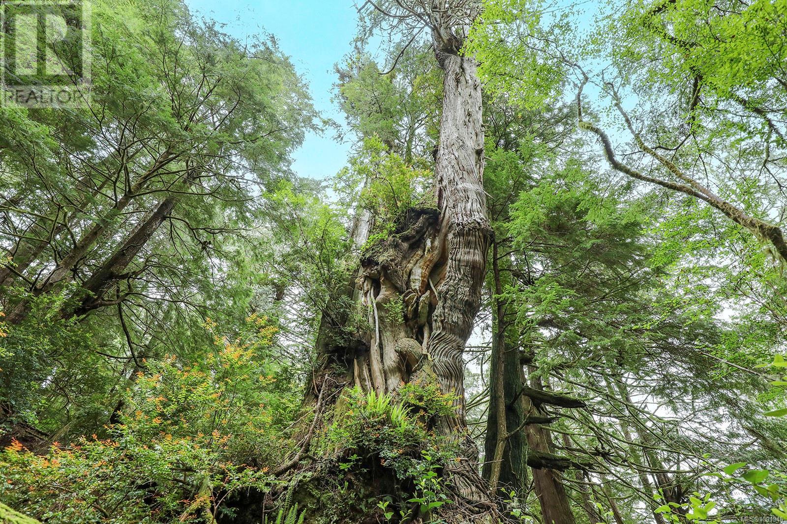 0 Neilson Island, Tofino