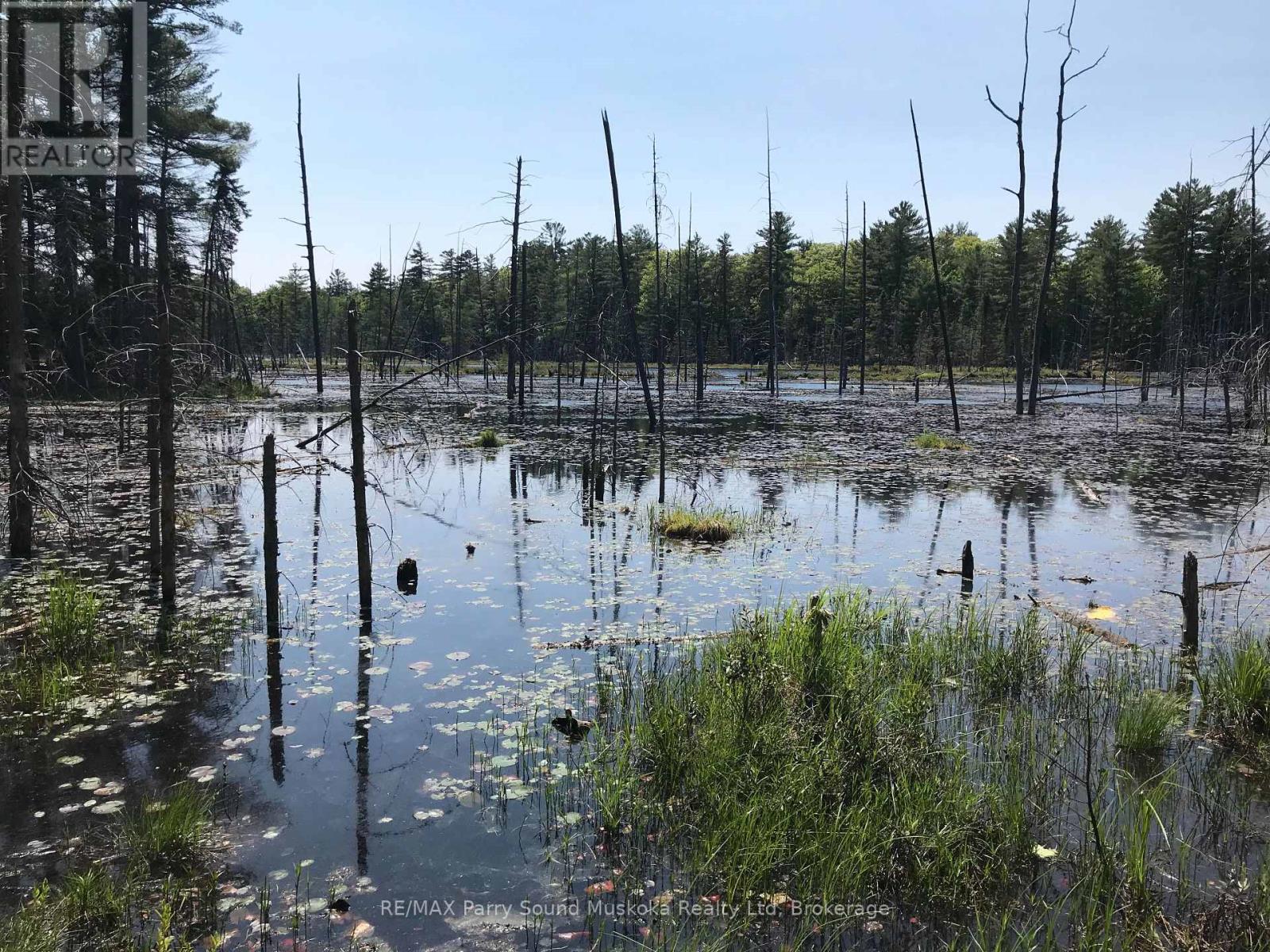 Photo 4 of 36 Windfall Lake Road, Seguin ON