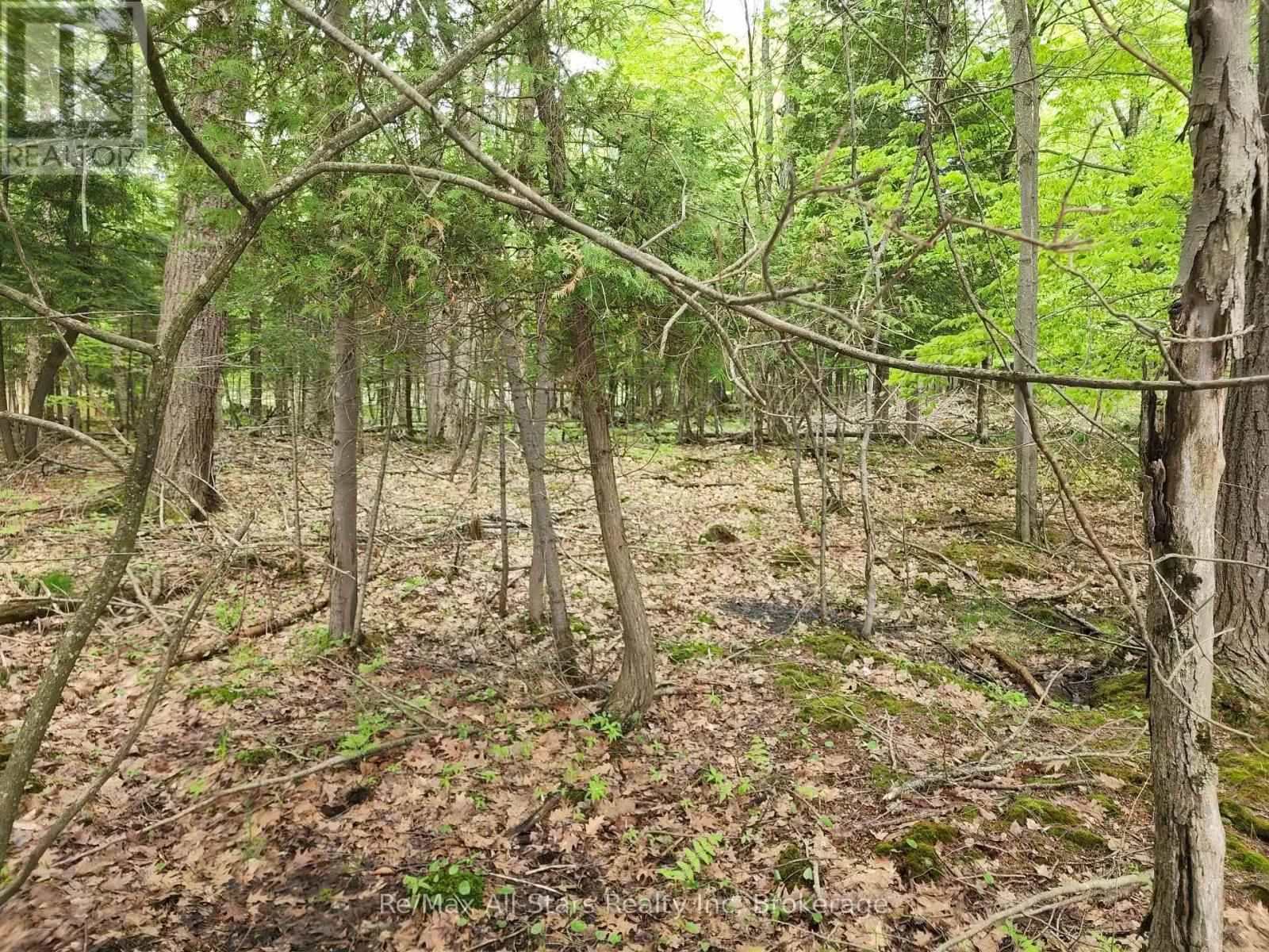 Photo 25 of 504 Bigwin Island, Lake Of Bays ON