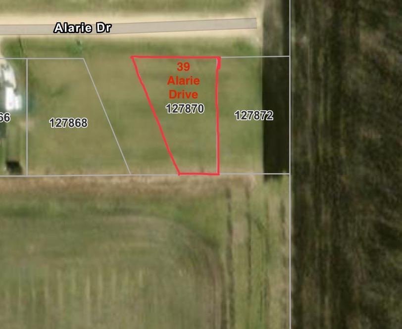 Photo 4 of 39 Alarie Drive, Elie MB