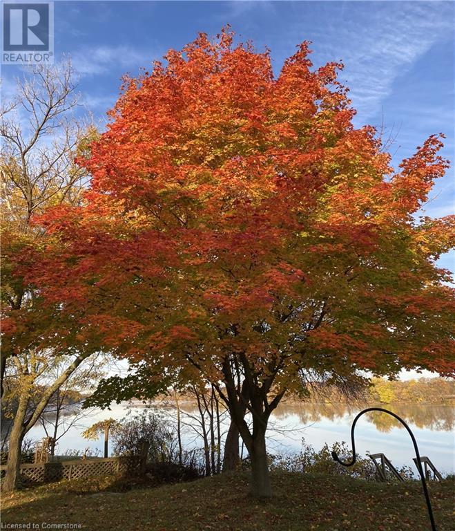Photo 37 of 1042 River Road, Cayuga ON