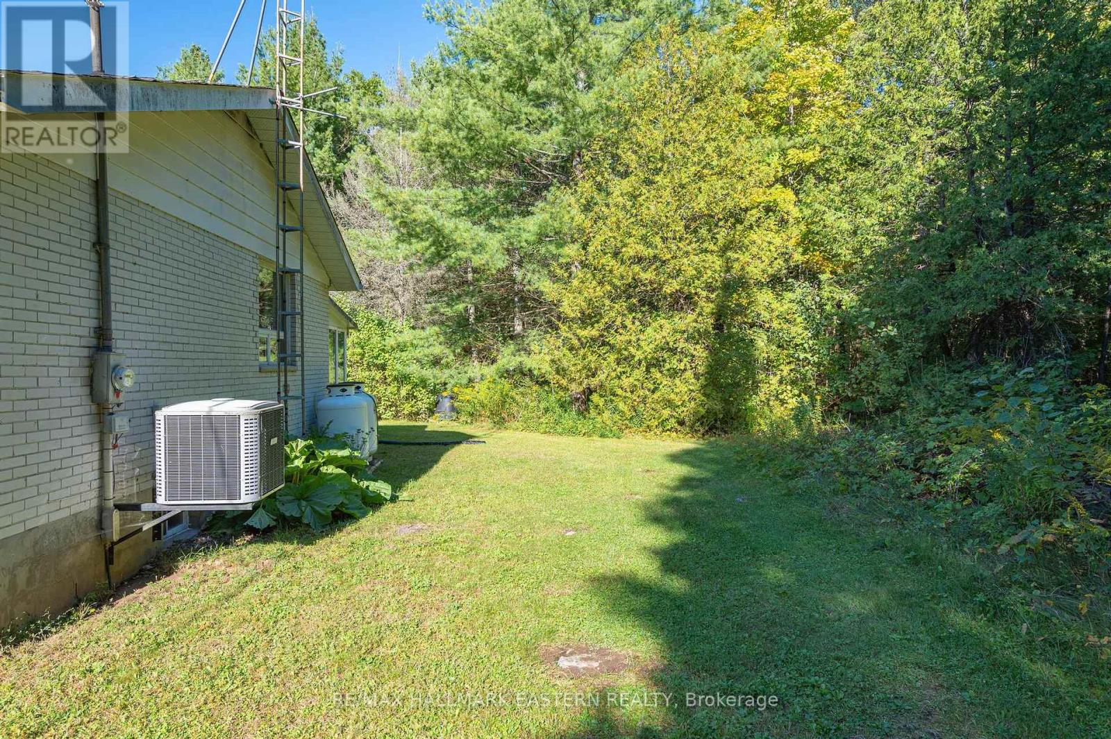 Photo 12 of 517 Belmont 2nd Line, Havelockbelmontmethuen ON