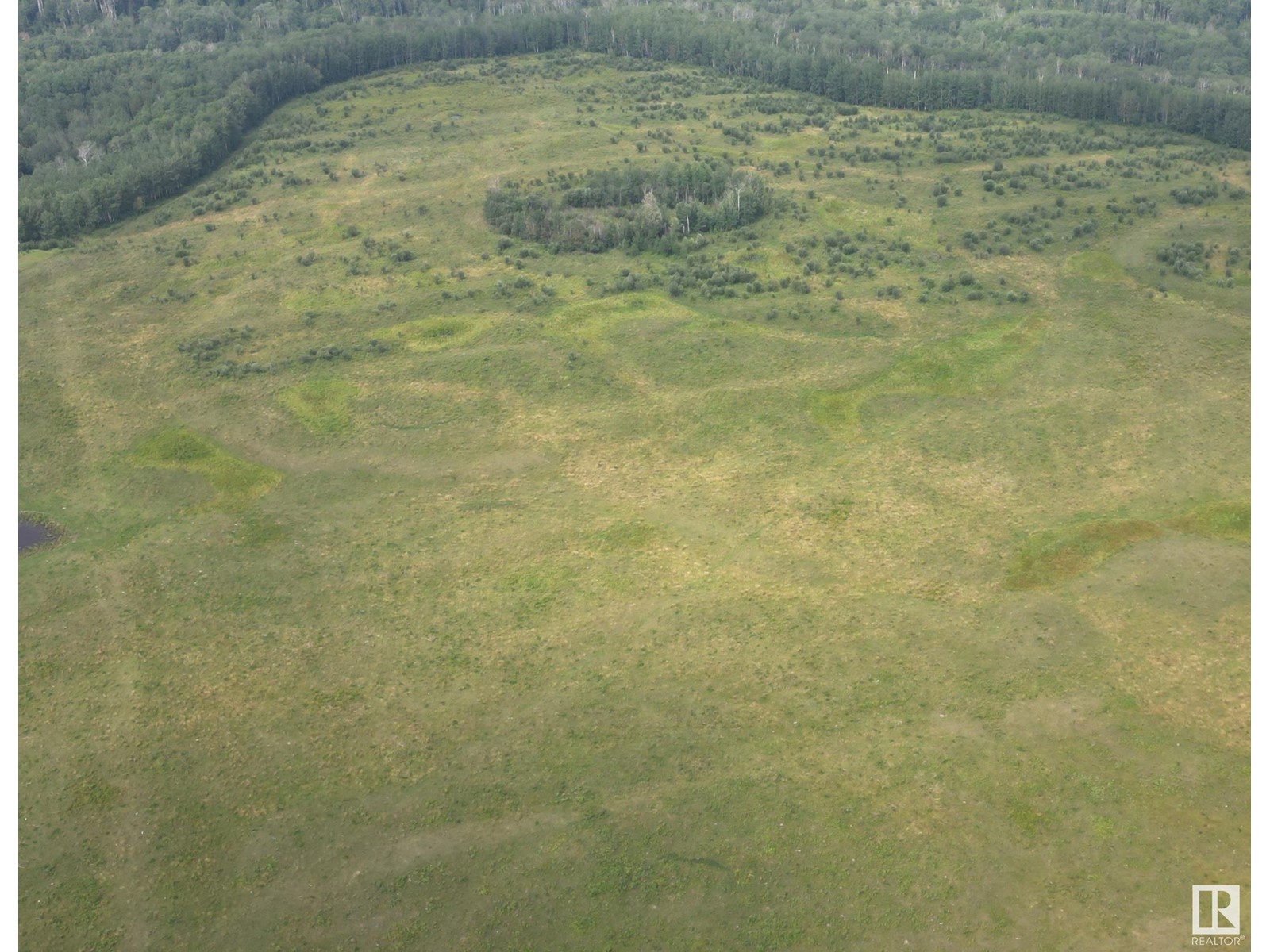 Photo 8 of Sw 20 66 24 W 4, Rural Athabasca County AB