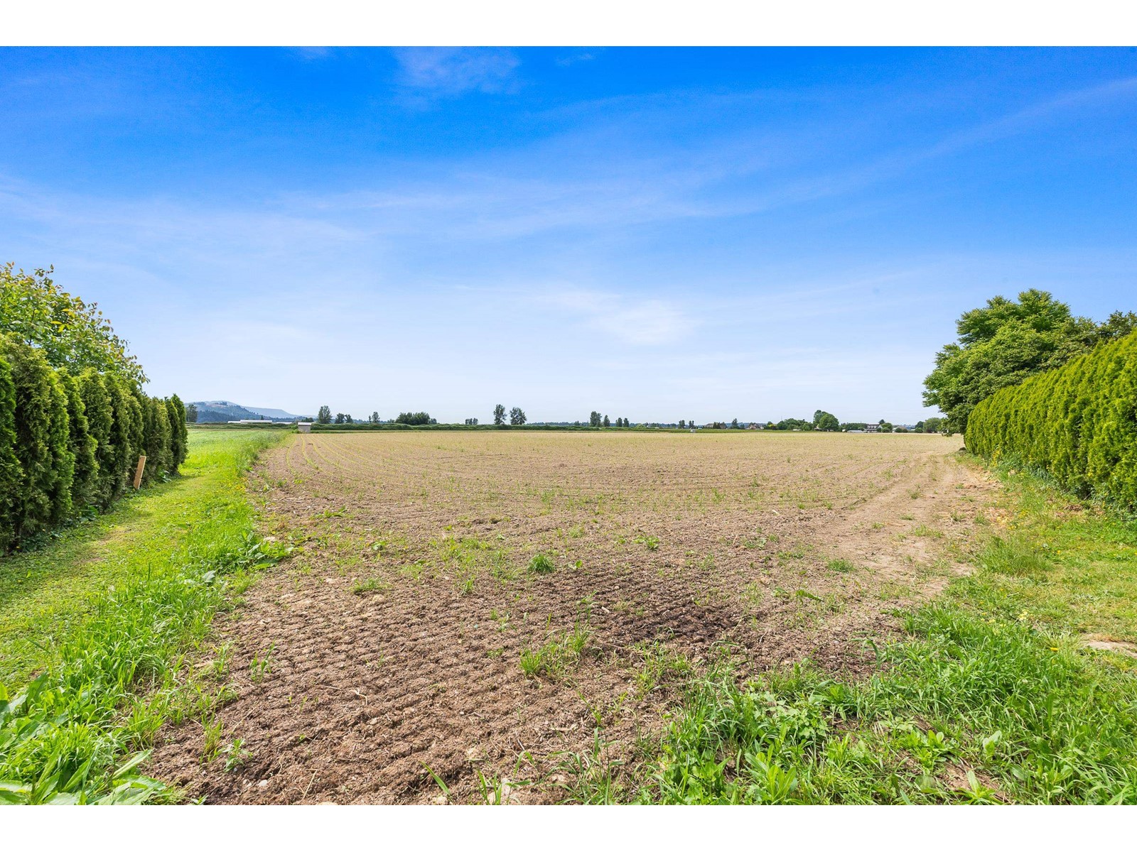 34834 PAGE ROAD, Abbotsford