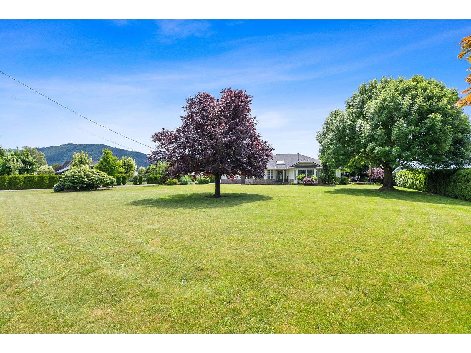 34834 PAGE ROAD, Abbotsford