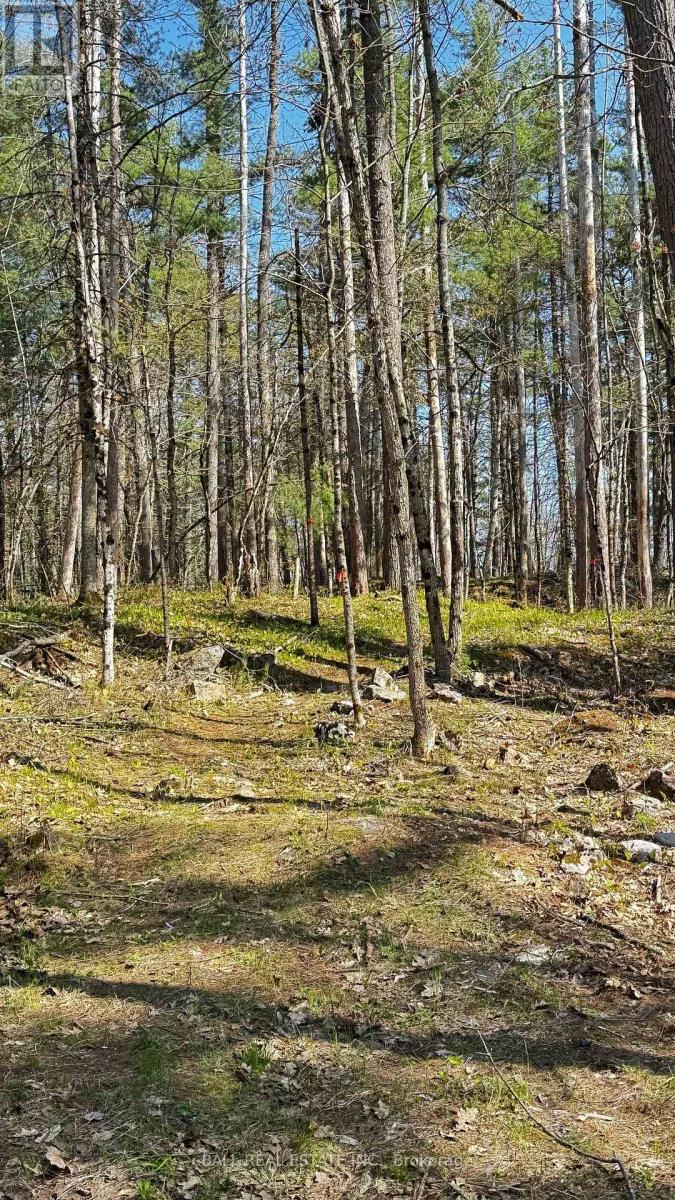 Photo 10 of 2348 Northeys Bay Road, North Kawartha ON