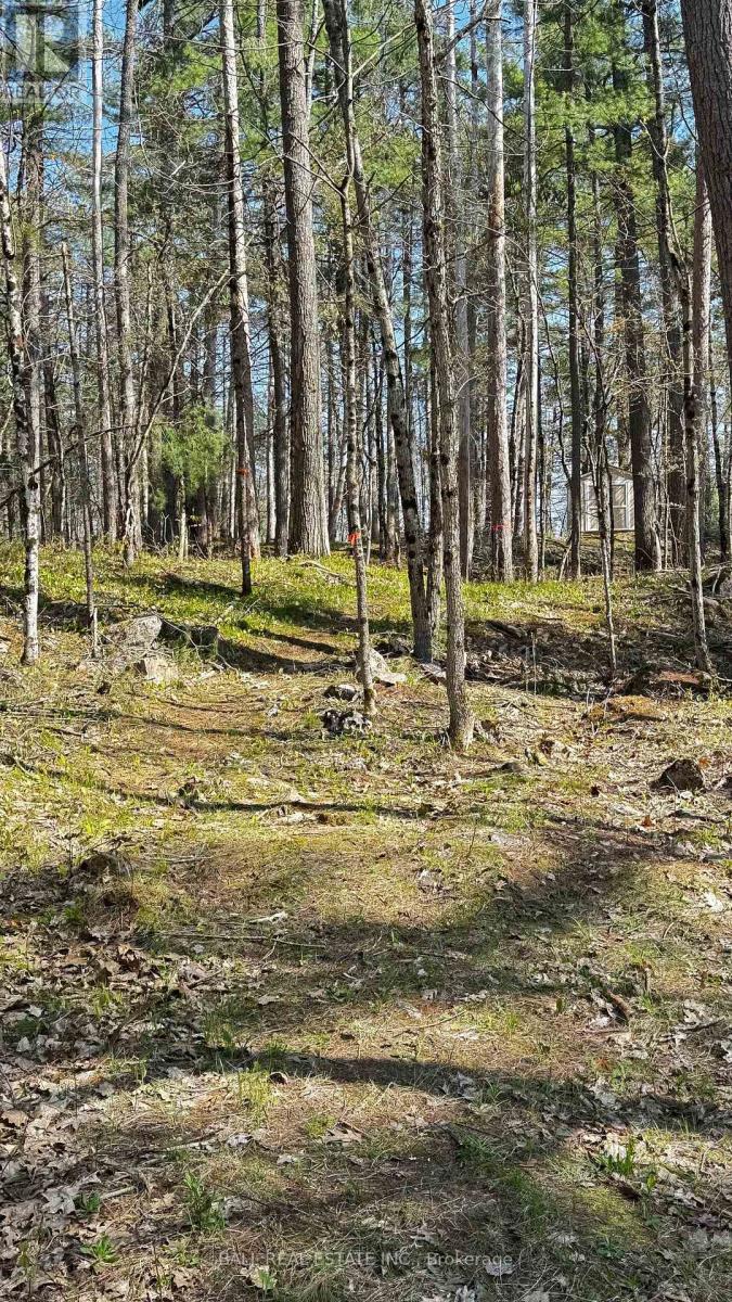 Photo 11 of 2348 Northeys Bay Road, North Kawartha ON