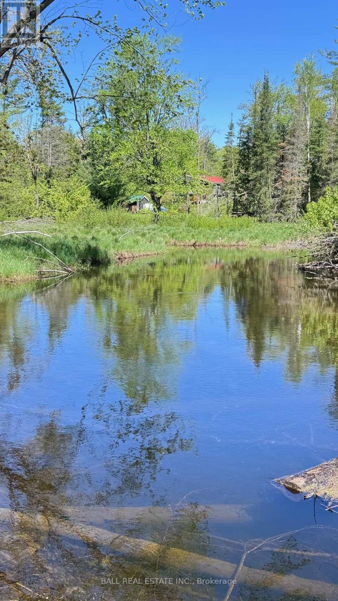 Photo 3 of 2348 Northeys Bay Road, North Kawartha ON
