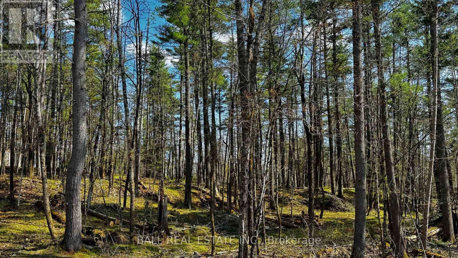 Photo 8 of 2348 Northeys Bay Road, North Kawartha ON