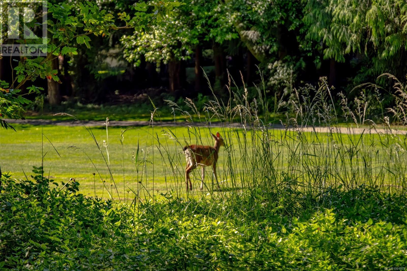 1202 LEE RD - Image 36