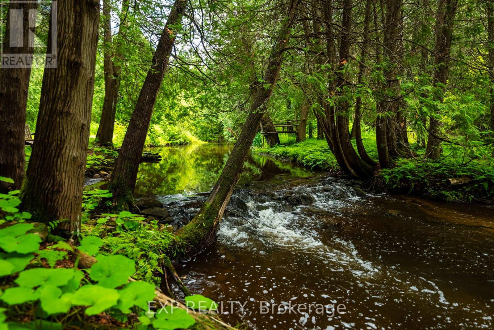 Photo 9 of 506097 Highway 89, Mulmur ON